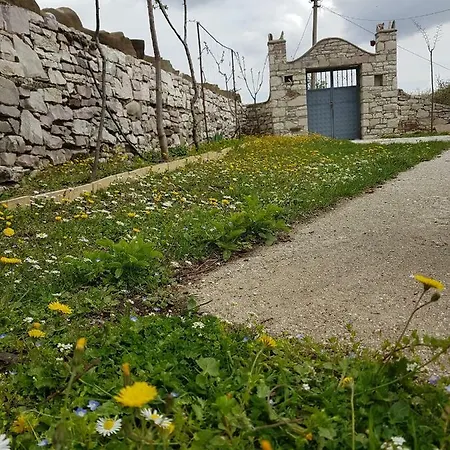 Bardhiguesthouse Tepelene